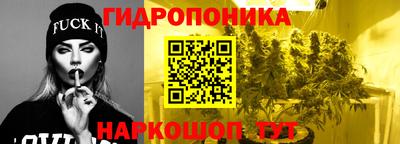 гидропоника Азнакаево